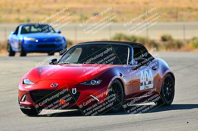 media/Oct-05-2024-Extreme Speed (Sat) [[dcd4a721fe]]/High Inter/Session 1 (Turn 2)/